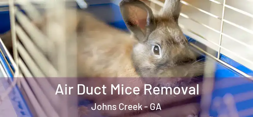 Air Duct Mice Removal Johns Creek - GA