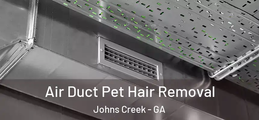 Air Duct Pet Hair Removal Johns Creek - GA