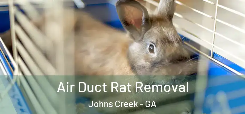 Air Duct Rat Removal Johns Creek - GA