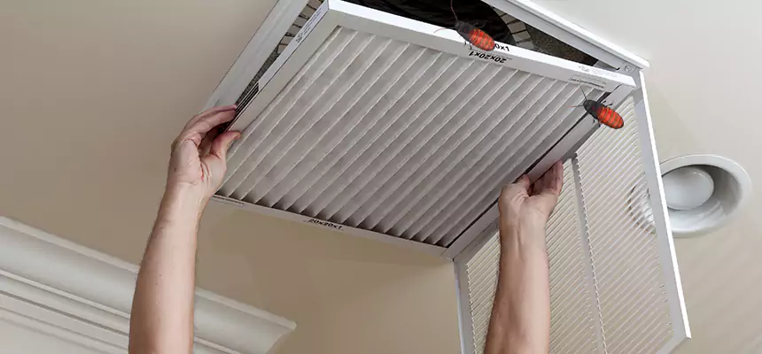 Preventive Cockroach-Proofing for Ducts in Johns Creek