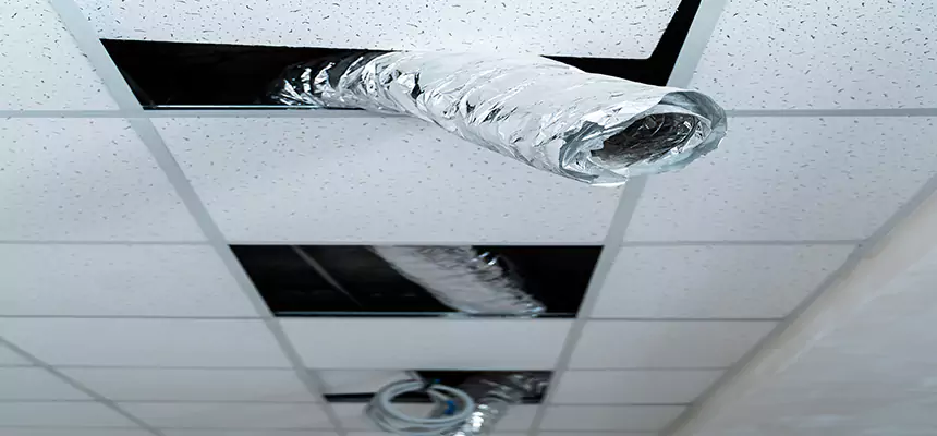 Affordable HVAC Sanitizing After Pest Removal in Johns Creek