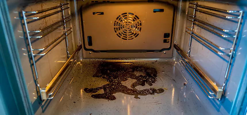 Our Dryer Vent Mold Cleaning Services in Johns Creek, GA