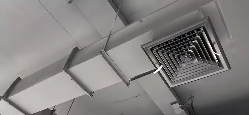 Our Rodent Droppings In Vents Services in Johns Creek, GA