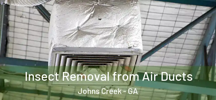 Insect Removal from Air Ducts Johns Creek - GA