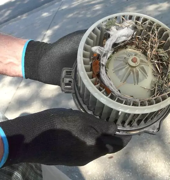 About Air Duct Rat Removal in Johns Creek, GA