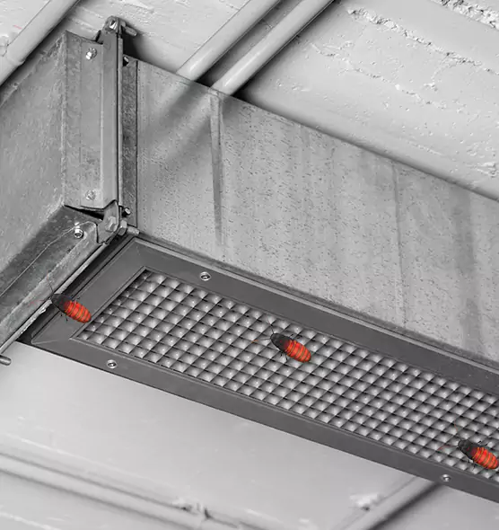 Affordable Insect Removal from Air Ducts in Johns Creek, GA