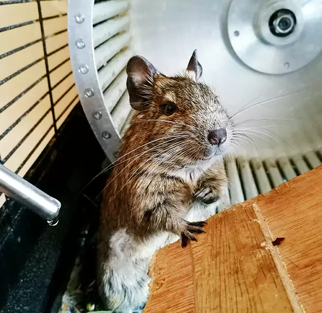 Why Homeowners & Businesses Trust Us Johns Creek, GA