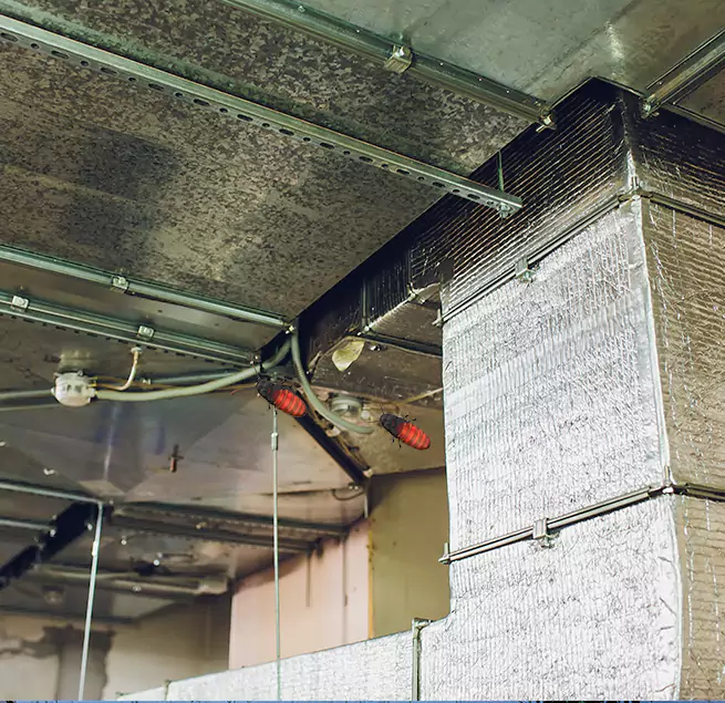 Why Homeowners & Businesses Trust Us Johns Creek, GA?