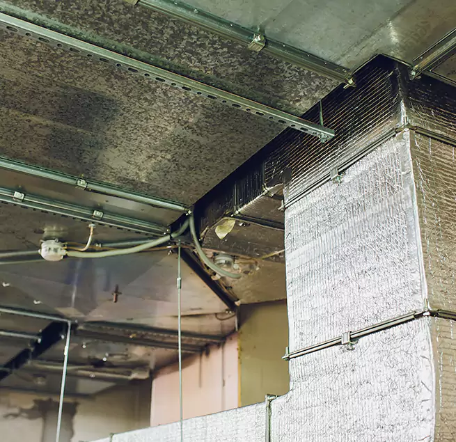 Why Homeowners & Businesses Trust Us in Johns Creek, GA?